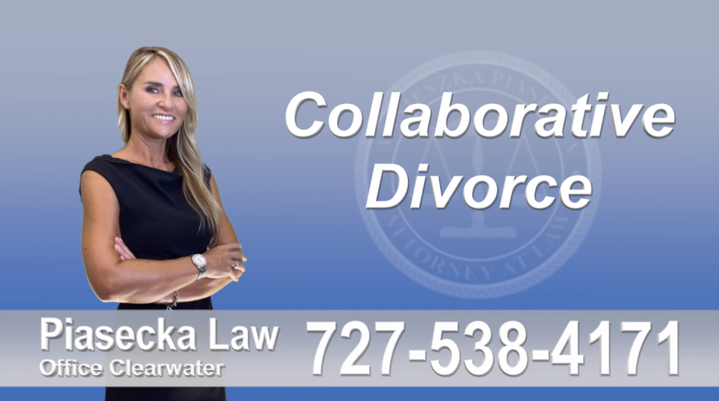 Divorce Immigration St. Petersburg, collaborative-attorney-agnieszka-piasecka-prawnik-rozwodowy-rozwod-adwokat-najlepszy-best-divorce-lawyer