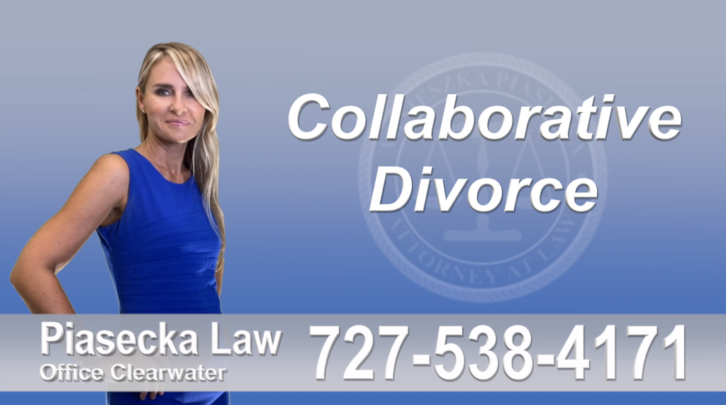 Divorce Attorney St. Petersburg, Florida- Commonly Asked Questions and Answers, St. Petersburg, FL